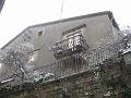 Neve (58)
